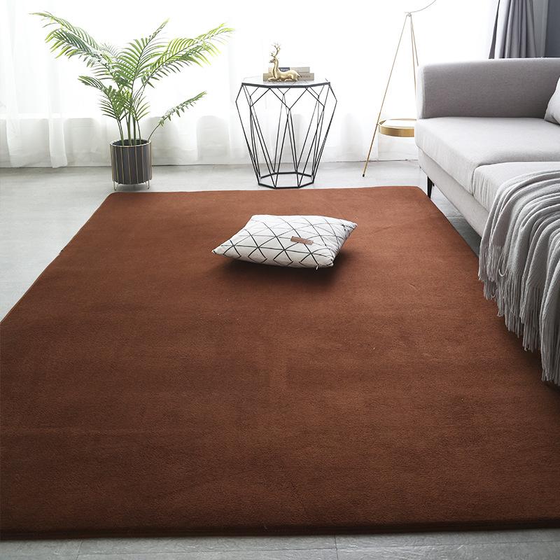 

Однотонный коралловый бархатный ковер Современные ковры для гостиной Ковер для спальни Прикроватный коврик Татами для гостиной Коврик для ползания Домашнее украшение 30x40cm кофейный