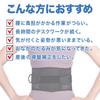 Lumbar Support Pelvic Support Waist Support Pelvic Lumbar Pelvic Correction Support Standing Desk Lower Back Good Posture Training Belt, Belt, Belt,