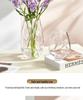 Nordic Style Irregular Glass Vase for Desktop Hydroponics