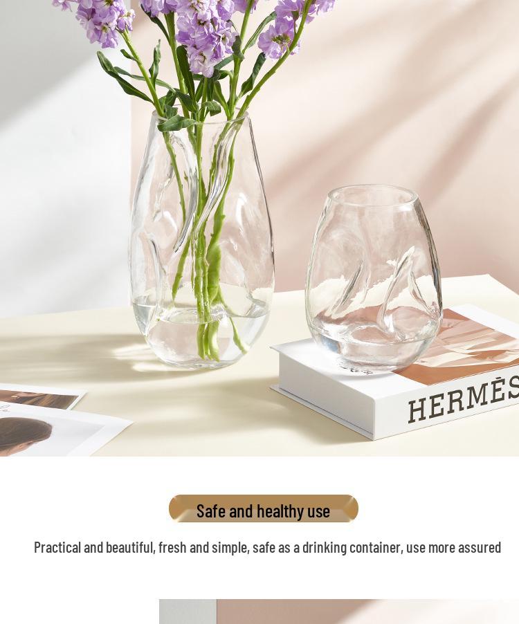 Nordic Style Irregular Glass Vase for Desktop Hydroponics