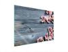 PLACA PROTECTORA DE CRISTAL PARA COCINA 70x52 MADERA