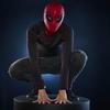 Hasbro Marvel Legends Serie „Spider-Man“: "Homecoming" Gesichtswechselnde Elektronische Maske, Premium Interaktive Rollenspielausrüstung (Erwachsene) G0633 Authentisch