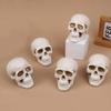Pottery Simulation Skull Ornament Refractory Halloween Skull Props Fire Pit Skull  Fireplace