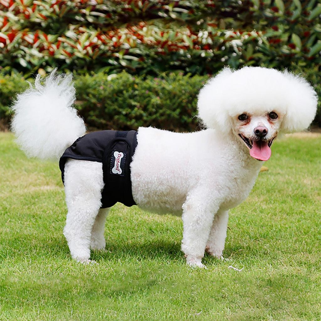 Wiederverwendbare physiologische Hosen zur Belästigung von Haustieren, Hundehygienehosen, Windeln sind für kleine, mittelgroße und große Hündinnen geeignet