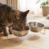 Large Capacity Stainless Steel Cat Bowl Anti-Tipping Double Water Bowls  for Kitten