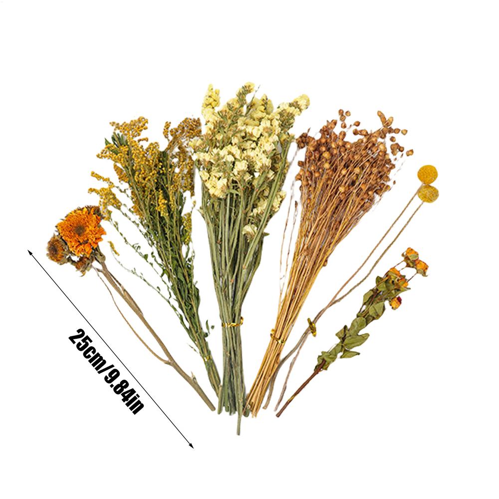 Hamster Bedding Natural Dried Flower Gerbil Bedding Odor Control Enclosure Habitat Decor For Rabbits Gerbils Or Other Small