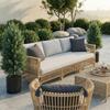 Detachable Cedar Pine & Cypress Potted Green Plants for Home Decoration - Pure PE Christmas Tree