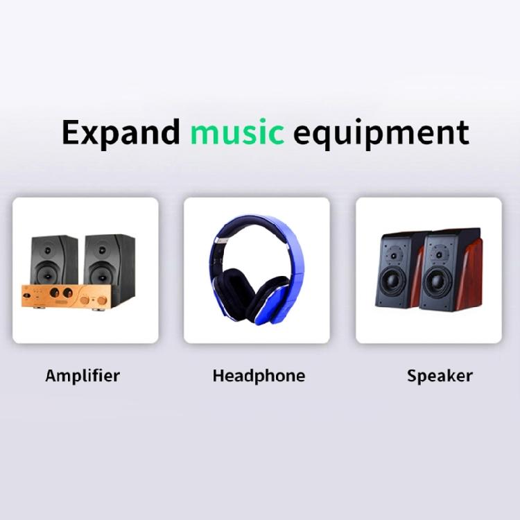5.1 Audio Decoder with Bluetooth-compatible U-Disk DTS AC3 For Amplifier/Speaker