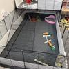 Super Absorbent Hamster Cage Pads Washable Small Pet Urinary Pad  for Small Animal