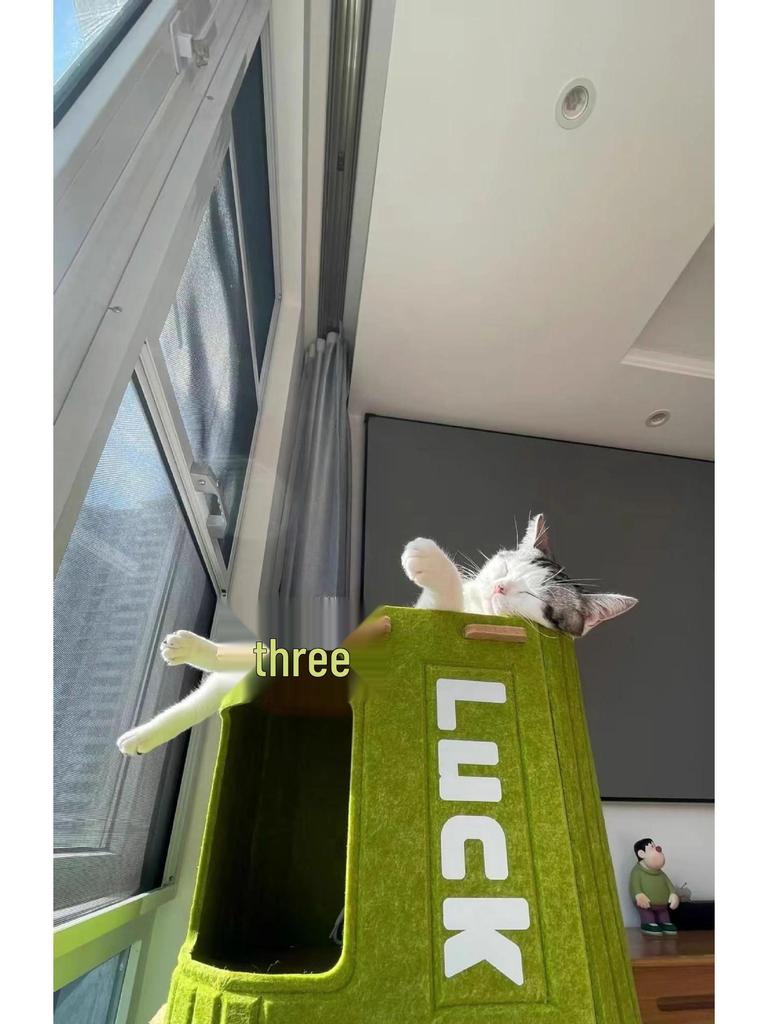 Cat Tree: Multi-layer Nest & Enclosed Bed - Durable, Scratch-Resistant, All-Season, Multi-Cat Home