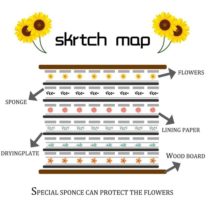 Buy Professional Flower Press Kit 7 X 9.5 Inch 6 Layers Large Leaf Plant Press Set at affordable