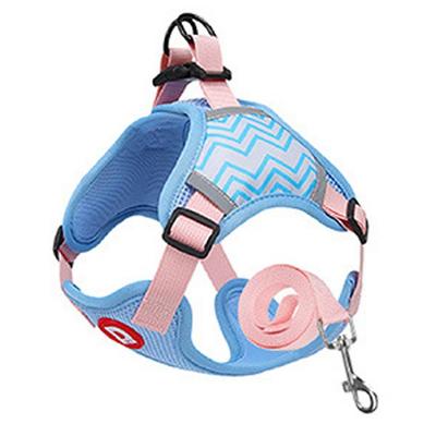 Tookka Dog Pet Neon D Tookka Harness Light Blue S, 2 Pieces