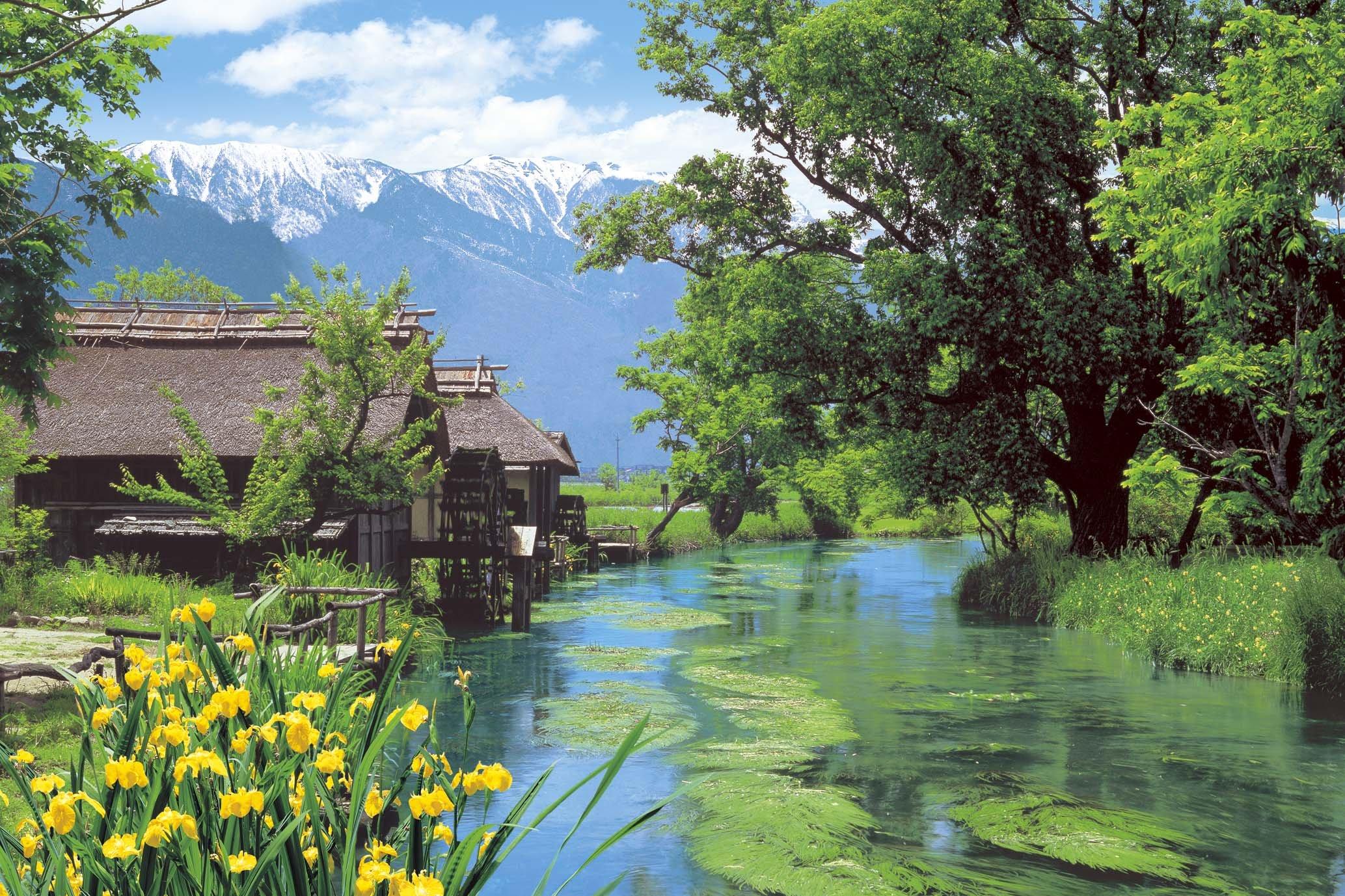 

Epoch Jigsaw Japanese Azumino Watermill Nagano Includes and Score Ticket 1000-Piece Puzzle Landscape - (50x75cm) 10-782, Glue, Spatula,
