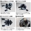 Daiwa 20 Coronet 2