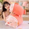 Plush Pig Toy With Pp Cotton Filling For Kids And Adults Perfect As Birthday Gift
