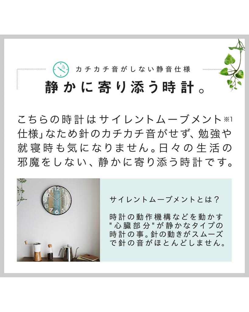 Wall Automatic Silent Interior Art Ottostyle.jp Dome-shaped Radio-controlled Clock, Reception, Analog, Movement, Decor, (Parrot)