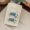 Wool Felt Cartoon Bread Slices Biscuits BB Clip Cute Bangs Side Clip Hairpin Funny Hair Clip Children's Hair Accessories
