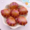 8pcs AB Resin Colorful Flower Shell Figurines Flat Back Cabochon Stone Scrapbook Home Crafts DIY Jewelry Making Accessories