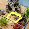Aquarium Feeding Ring Fish Tank Station Floating Food Tray Feeder Square Circle Accessories Fish Foods Feeder Suction Cup