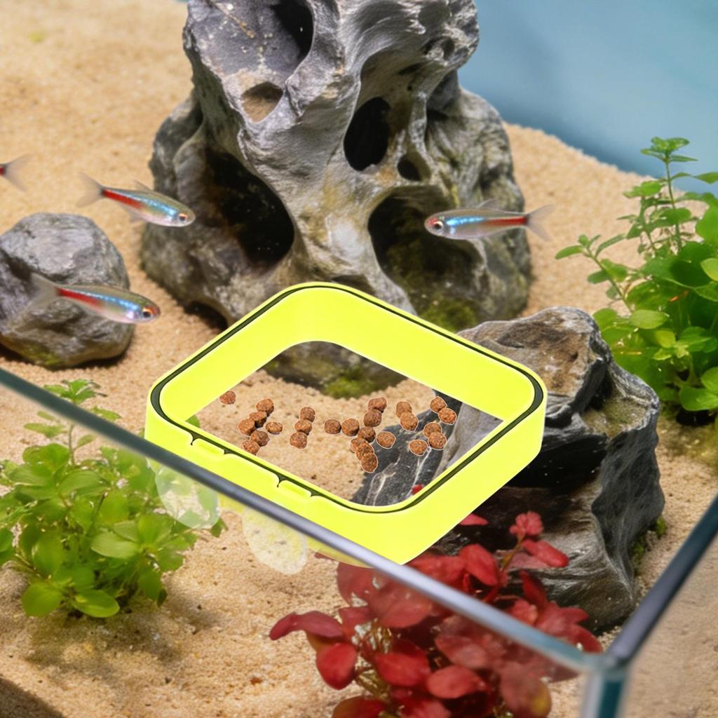 Aquarium Feeding Ring Fish Tank Station Floating Food Tray Feeder Square Circle Accessories Fish Foods Feeder Suction Cup