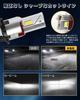BORDAN D2r LED Pong Mount, Vehicle Inspection Compatible, Explosive Light Shade, Wireless, D2r LED