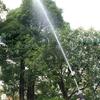 T2 Black Long Spear High-Pressure Foam Sprayer and Water Gun for Garden, Car Wash, and Floor Cleaning.