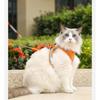 Cat Chest Harness Reflective Vest TypeAnti-breakaway Cat Walking LeashAdjustable Breathable Pet Chest Harness