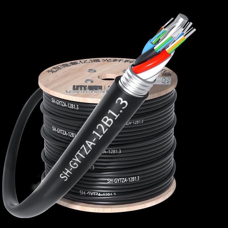 GYTZA Outdoor Armored 12-Core Single-Mode LSZH Fiber Optic Cable