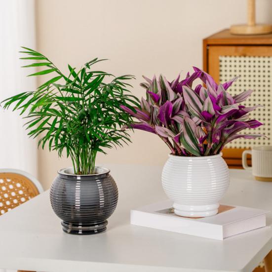 Selbstbewässernder Topf für Zimmerpflanzen Kleiner Kunststoff-Blumenpflanztopf mit Dochtseil und Reservoir für Usambaraveilchen, Grünlilie, Orchidee