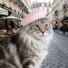 Breathable Pet Headwear Adorable Cute Pet Painter Hat Casual Style Cat Beret Hat  Photos Sessions