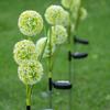 1Pc Solar Energy Three Head Dandelion Outdoor Plant Flower Lights Vivid Decorative Lights Garden Atmosphere Lights