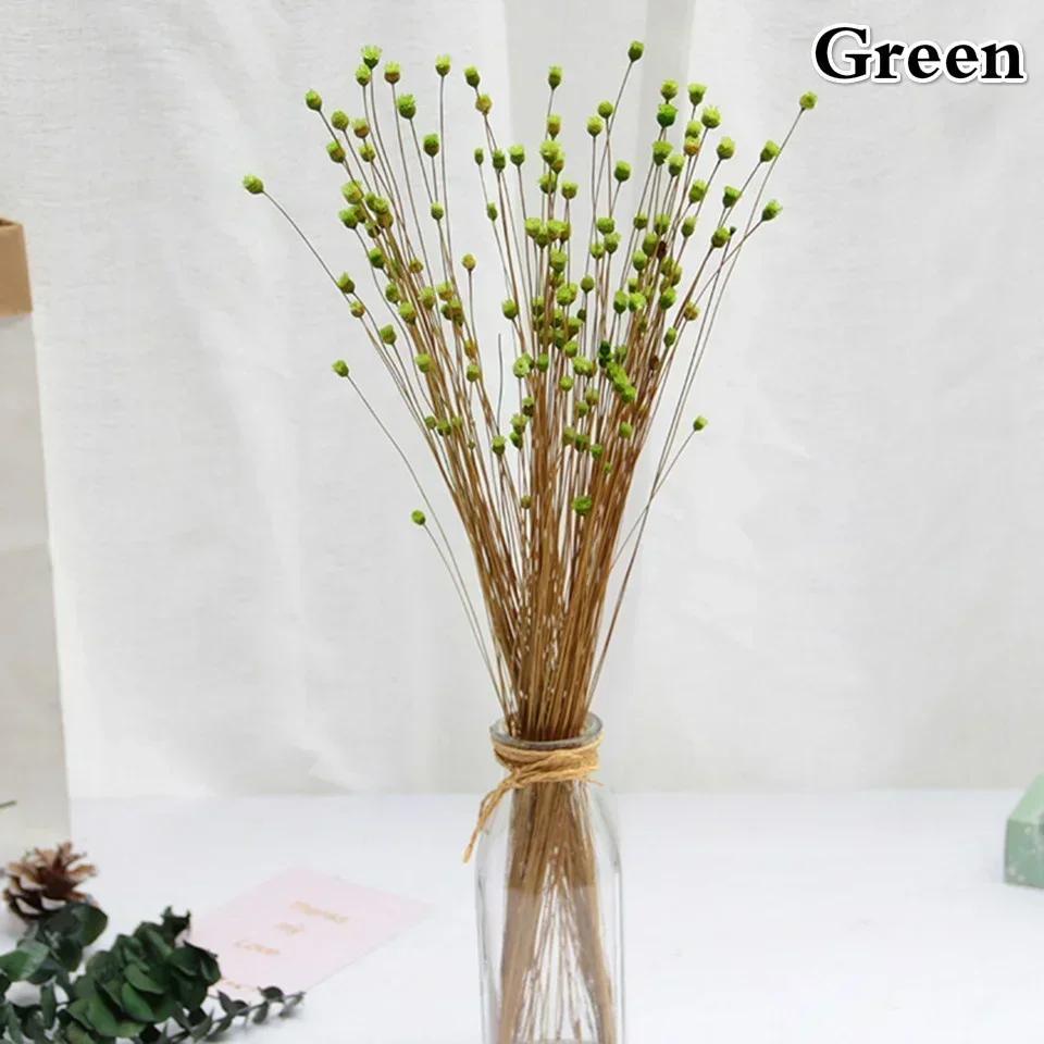 

50 Bouquets Natural Real Small Dried Flowers Bouquets Brazilian Lucky Flowers Preserved Flowers Home Decoration Dried Flower зелёный