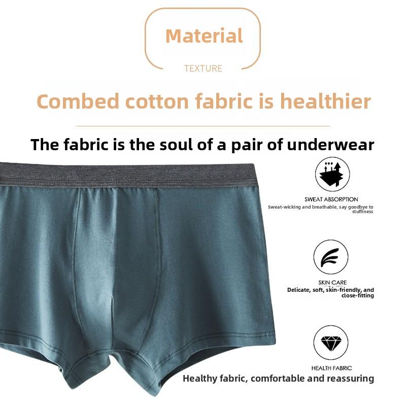 Large Size Men's Spring and Summer Cotton Youth Mid - Waist Flat Angle Underwear