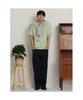 Binpolmen Cotton Silk Collared Neck Knit Apple Green