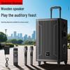 Newsmy Portable Bluetooth Trolley Speaker for Outdoor KTV & Events (CN version)