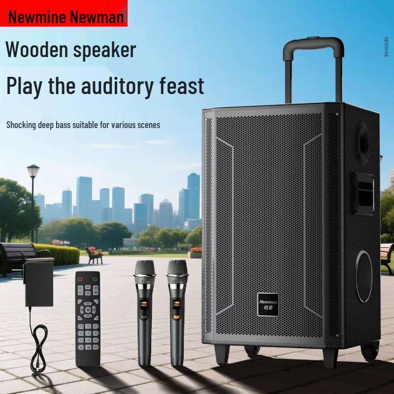 Newsmy Portable Bluetooth Trolley Speaker for Outdoor KTV & Events (CN version)