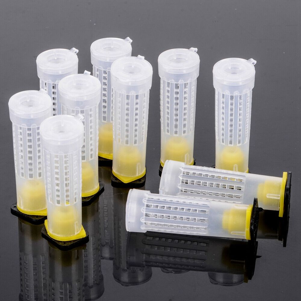 Beekeeping 50Pcs Box Holder Equipment Tool Rearing Cup Protective Cover Bees Rearing Bee Queen Cage