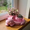 3D Printed Cat-Shaped Flower Pot Cute Animal Mini Potted Plant Jewelry Tray  Indoor/Outdoor Use