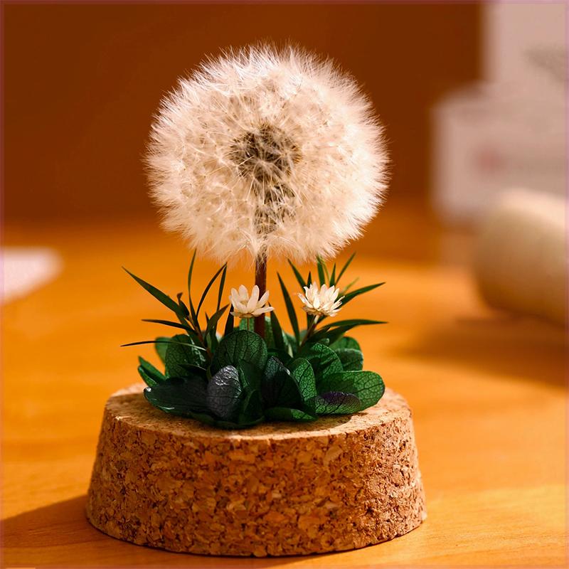 

1шт стеклянная крышка образец сухого цветка настольное украшение вечный цветок одуванчика