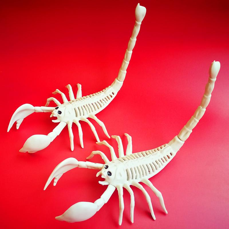 Halloween Skeleton Animal Set: Bat, Spider, Scorpion, Mouse, Snake, Toad & Haunted House Props