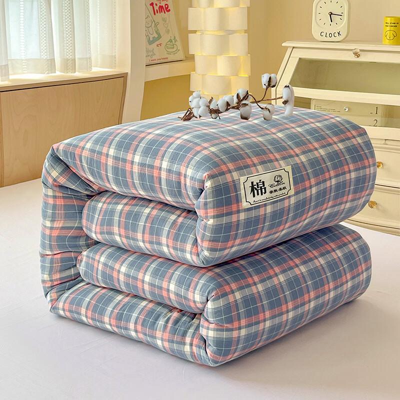 LISM Xinjiang Cotton All-Season Quilt