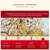Haoxiangni Premium Xinjiang Pit-in Red Dates (998g)