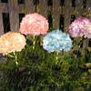 Decorative Lighting Solar Embroidered Flower Lamp Solar Garden Light  Backyard Landscape