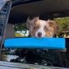 Weiche Autofenster-Kinnstütze für Hunde Bequeme Haustier-Kinnstütze Hund Auto Kinnstütze Schützt das Kinn des Haustieres