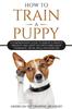 Kniha How To Train A Puppy A Comprehensive Guide To Raising A Perfect Obedient And Ha by American Pet Training Academy - Paperback
