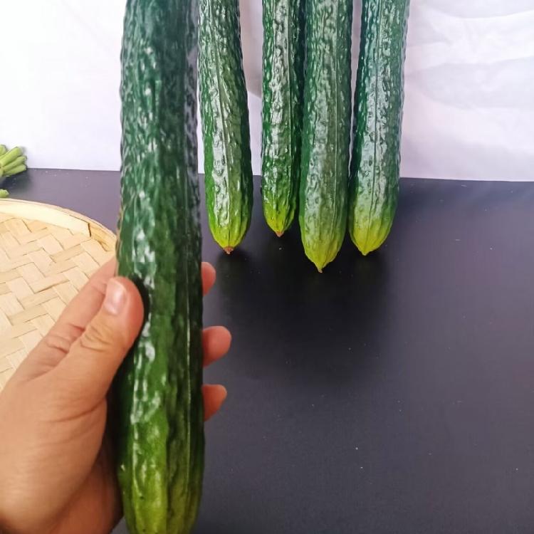 Modelli di Cetriolo Simulazione Realistica Cetriolo Artificiale Decorazione di Verdura per Decorazione Casa Cucina Negozio Esposizione