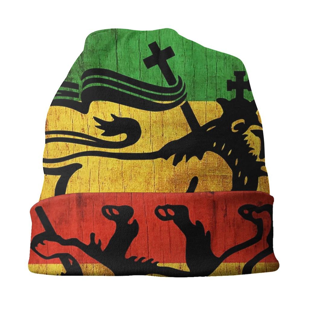 Winter Warm Lion Of Judah Reggae Rastafarian Flag Bonnet Femme Slouchy Beanie Hat Cool Ski Skullies Beanies Caps for Unisex Women