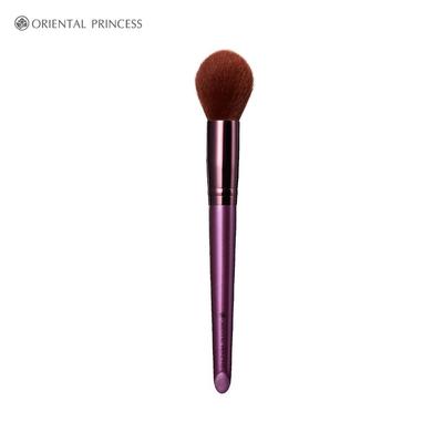 Beneficial Pro Blush Brush