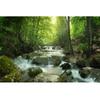 Natural Landscape Wallpaper Enchanting Forest Waterfall 3d Mural For Living Room Bedroom Forest Wall Mural
