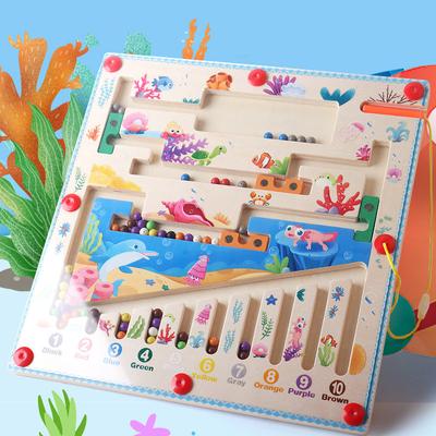 Puzzle Maze Game Magnetic Color Sorting Board Learning Color Matching Counting Educational Toys Colorful Beads Game